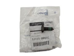 Pultti Alkuperäinen 1231500Q1C 123156846R Renault Nissan