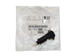Pesusuutin Alkuperäinen Citroen C4 Picasso 9676307480