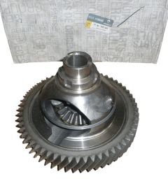 Hammaspyörä Uusi Alkuperäinen 7701769541 Renault