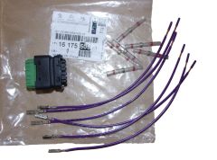 Pistoke Uusi Alkuperäinen 1617550580 Citroen Peugeot