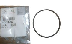 Tiiviste, tiiviste Pompy Wody Uusi Alkuperäinen 1206.G3 1206G3 Citroen Peugeot