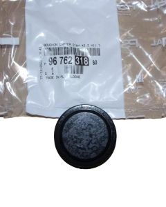 Päätykappale Uusi Alkuperäinen 9676231880 Citroen Peugeot