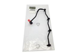 ren8200445284