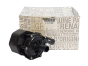 Vesipumppu Renault 210101348R Alkuperäinen