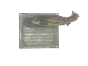 Ohjausyksikkö Ford 6S61-12A650-FD S120977315D 2CJD Siemens 57586