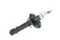 Iskunvaimennin Etu Tee VW Seat 6N0413031M B18687 Borsehung