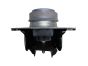 Moottorin Kiinnike Alkuperäinen Renault Clio 2 Kangoo 1.4 1.6 7700434370