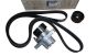 Käyttöhihnan Kiristin Alkuperäinen 7701479150 Renault Dacia