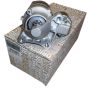 Käynnistin Alkuperäinen 233004003R Renault