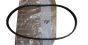 Vetohihna Alkuperäinen 9805463680 Citroen Peugeot 6PK 1073