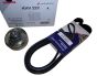 Käyttöhihnan Kiristin Tee Renault KHV254 117205040R Hutchinson