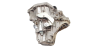 Vaihteisto TL4A001 TL4001 Renault Megane 2 1.5 DCi 7701700539 1019
