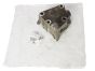 Moottorin kiinnike Uusi Alkuperäinen Citroen Peugeot 2.0 HDI 8v 1807T6 9628311880
