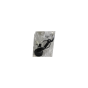 Äänitorvi Alkuperäinen 9830104080 Citroen Peugeot