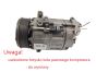 Ilmastoinnin Kompressori 8200454172 2.0 dCi Renault Valeo DCS-171C