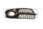 Puskurin Säleikkö Vasen Tee Audi Q5 8R0807681S 88071882002 DPA