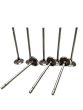 Venttiili Täydellinen Alkuperäinen 8 pc. Renault 1.8-2.0 16v 7701474287
