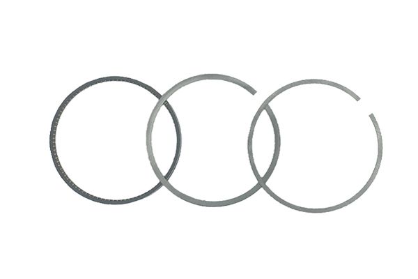 Männänrenkaat Tee Audi 06E198151G B19049 Borsehung main product photo