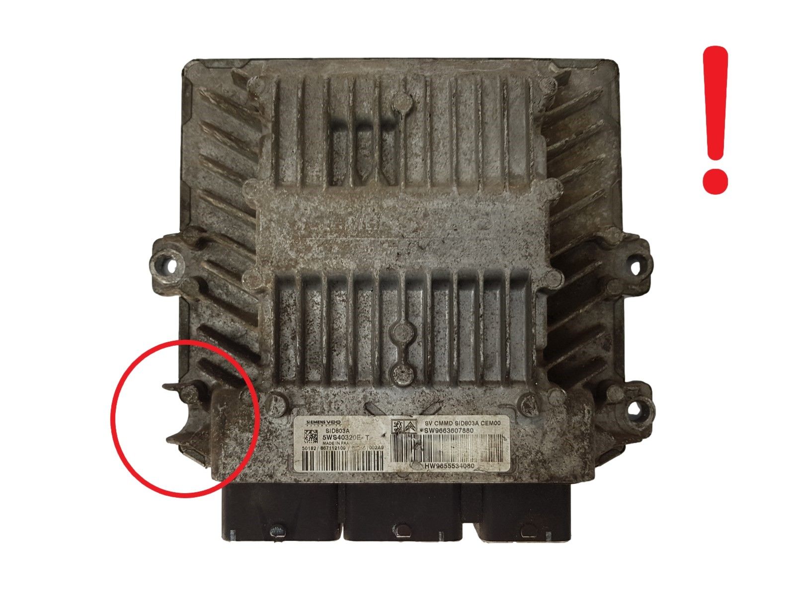 main product photo