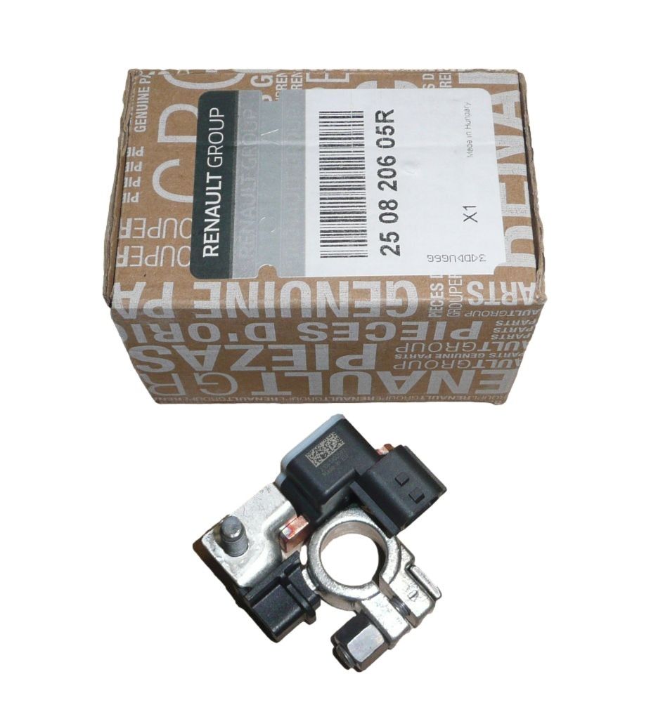 Päätteen puristin Uusi Alkuperäinen 250820605R Renault main product photo